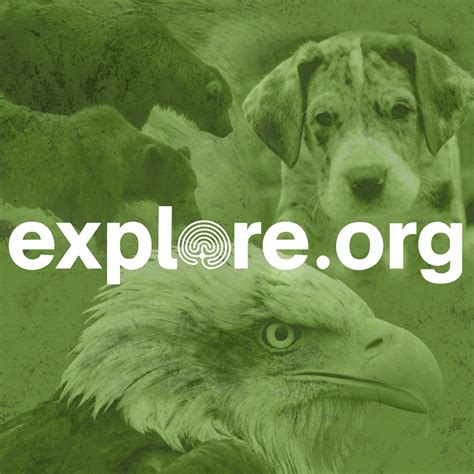 Explore.org